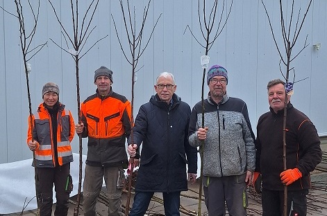 Bayerischer Streuobstpakt: Bürgermeister und Bauhof verteilen insgesamt 178 Bäume an Wasserlosens Bürger