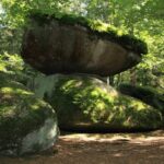 Wer weiß denn, dass es im Bayerischen Wald einen 50-Tonnen-Fels gibt, den ein Mensch mit bloßen Händen bewegen kann?