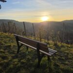 Fahr mal hin und lauf mal rum: Der Schlossbergblick oberhalb von Zell mit der Burgruine Ebersberg – VIELE FOTOS!