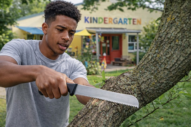 Ungewöhnliche Gartenarbeiten mit einem Messer lösen Polizeieinsatz aus – doch das Missverständnis war schnell geklärt