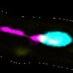 „PITTs“ verändern das Verständnis der Thrombozytenbiologie: Würzburger Forscher entdecken neuartige Entzündungsfunktion von Blutplättchen