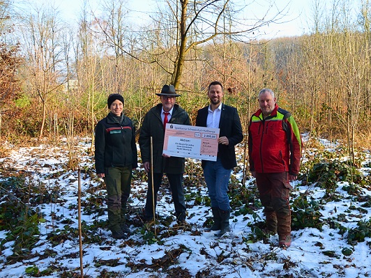 Nachhaltigkeitsinitiative „Ein Baum für jedes neue Girokonto“ unterstützt den Markt Werneck