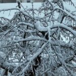 Der derzeit anhaltende und sehr starke Schneefall stellt den Landkreis Kitzingen vor große Herausforderungen