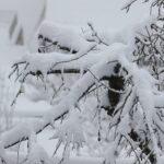 Jetzt wird´s auch noch für Spaziergänger gefährlich: Die Stadt Würzburg rät dazu, Parkanlagen zu meiden, denn es droht Schneebruch