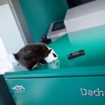 Alternativen statt Abwicklung: Widerstand gegen geplante Produktionsschließung bei SenerTec