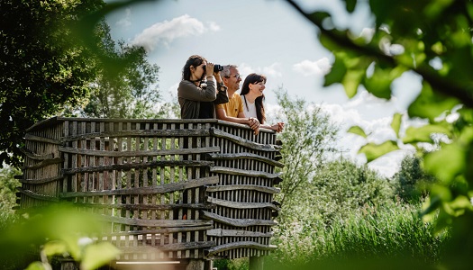 Wo der Frühling flattert: Mit Rangerin Lucia auf Naturführung im Vogel-Paradies im Tal der Großen Laber