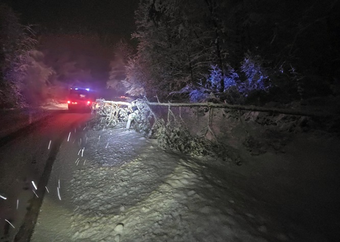 Feuerwehr-Einsätze: An verschiedenen Straßen rund um Volkach fielen am Montag die Bäume um