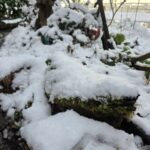 Wintereinbruch in Unterfranken: Unfälle und Verkehrsbehinderungen, Polizei und Rettungskräfte im Dauereinsatz