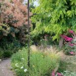 Kreisverband für Gartenbau und Landespflege: Das Jahr 2026 ist dem Gedenken an den „Kirschenbaron“ Christian Truchseß von Wetzhausen gewidmet