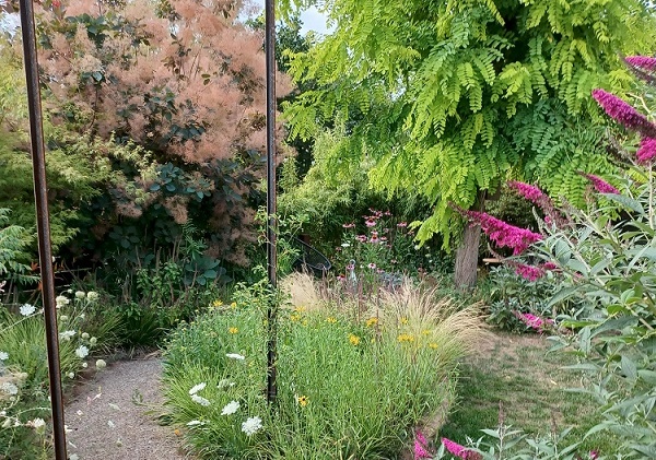 Kreisverband für Gartenbau und Landespflege: Das Jahr 2026 ist dem Gedenken an den „Kirschenbaron“ Christian Truchseß von Wetzhausen gewidmet