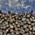 Ermittlungen der Hammelburger Polizei überführen einen 68 Jahre alten Dieb, der Brennholz im Wert von über 1.700 Euro entwendete