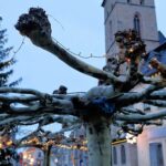 Dialog mit Bürgerinnen und Bürgern: Ein neuer Standort für die Brunnen-Platanen in Gerolzhofen wird gesucht