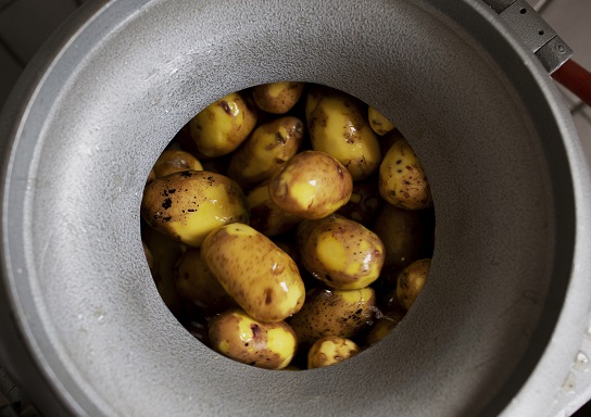 Probiert doch mal – Frisch gemacht statt fix & fertig!: Koch- und Genussworkshop für die Außer-Haus-Verpflegung