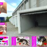 Cornelia Keuler und ihre verzweifelte Suche nach sechs ihrer Katzen, die sie unfreiwillig abgeben musste