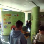 Wanderausstellung gastierte im Alexander-von-Humboldt-Gymnasium: Die Bedeutung der Honigbiene verstehen