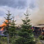 Der Brand eines Holzstapels in der Nähe von Egenhausen sorgte für einen Einsatz der Feuerwehr