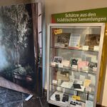 Pop-Up-Ausstellung im Rathaus: Kitzingen macht Fotos unter dem Motto „Bitte lächeln“
