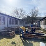 Viele Hände, tolles Ende: Erfolgreiche Hochbeet-Bauaktion der GemüseAckerdemie am AvH