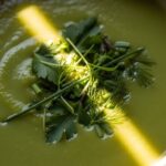 Essen, Trinken und Genuss: Hätten Sie’s gewusst, was in eine Gründonnerstagssuppe gehört?