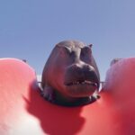 Die 27. Schweinfurter Kurzfilmtage im Kino KuK: 67 Streifen mit einer Länge von einer Minute bis 28 Minuten in sechs verschiedenen Programmen