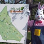 Möge die Suche beginnen: Am Ostersonntag versteckt der Hase im Wild-Park Klaushof wieder Eier