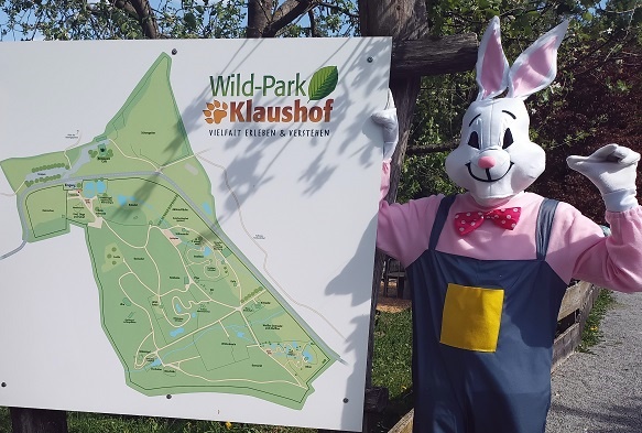 Möge die Suche beginnen: Am Ostersonntag versteckt der Hase im Wild-Park Klaushof wieder Eier