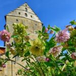 Beim Lenzrosen & Oster Markt Schloss Thurnau in Oberfranken wird´s am 21./22. März wieder frisch, bunt und fröhlich