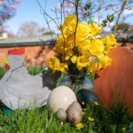 „Rund ums Ei“ in der Wilhelma: Start der Wilden Wochenenden im Zoologisch-Botanischen Garten Stuttgart