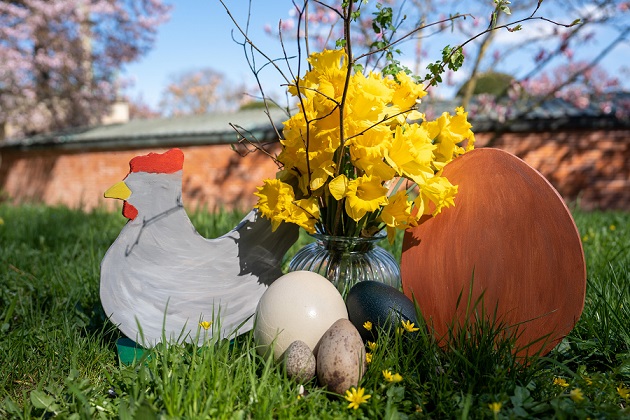 „Rund ums Ei“ in der Wilhelma: Start der Wilden Wochenenden im Zoologisch-Botanischen Garten Stuttgart