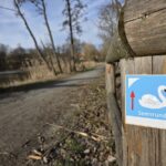 Fahr mal hin und lauf´ mal ´rum: Die Seenrunde mit oder ohne Schwan bei Trabelsdorf – VIELE VFOTOS!