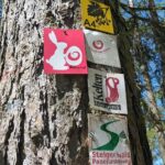 Oster-Aktion für alle TraumRunden-Wanderer, die sich am 5. und 6. April auf Hasensuche begeben können