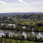 „Der Klimawandel an der Mainschleife, Chancen und Risiken für Streuobst“