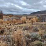 Jahreshauptversammlung des Kreisverbandes in Eltmann: Staudenexperte Till Hofmann hält einen Fachvortrag „Staudenflächen zielführend anlegen, erhalten und weiterentwickeln!“