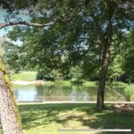 Wildkräuterspaziergang für Einsteiger in Sennfeld im Rahmen der „Bayern Tour Natur“