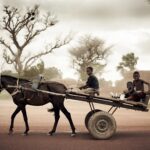 „Mali – Reise in ein magisches Land“ und „Im Tal des Omo“: Eine Fotoausstellung im Rahmen des Africa Festivals in den Gängen des Rathauses