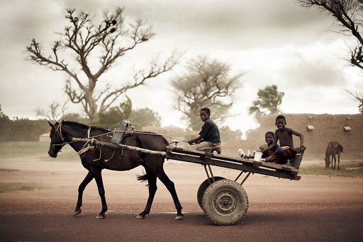 „Mali – Reise in ein magisches Land“ und „Im Tal des Omo“: Eine Fotoausstellung im Rahmen des Africa Festivals in den Gängen des Rathauses