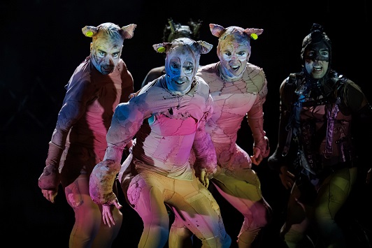 »Cardillac«, »Sissi«, »Klavierstücke« oder »Nein zum Geld!«: Die Veranstaltungen im April im Theater der Stadt Schweinfurt