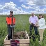 Innovativer Pflanzansatz für Obstbäume: Spezielle Baumpflanzung in Nordheim am Main spart Kosten und Aufwand