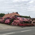 Gartenstudienreise des Kreisverbandes für Gartenbau und Landespflege ins Ammerland begeistert 78 TeilnehmerInnen
