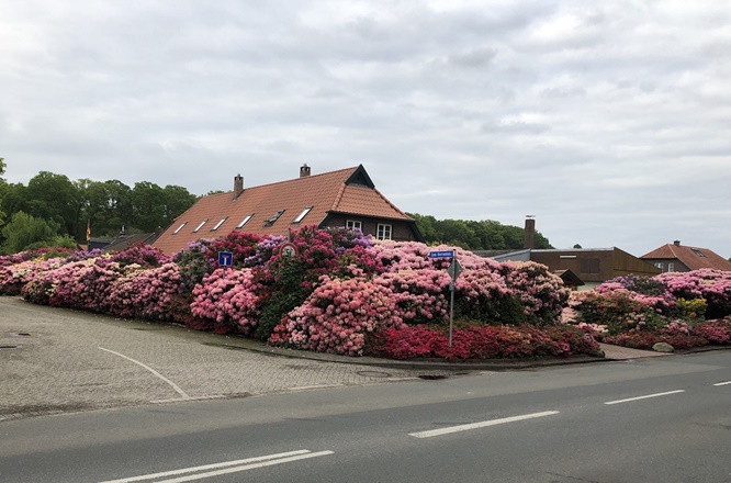 Gartenstudienreise des Kreisverbandes für Gartenbau und Landespflege ins Ammerland begeistert 78 TeilnehmerInnen