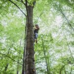 Auf in den Wald! Naturerlebnisse zwischen Wald und Wiese am Steigerwald-Zentrum