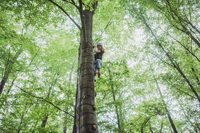 Auf in den Wald! Naturerlebnisse zwischen Wald und Wiese am Steigerwald-Zentrum