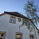 Maibaum-Aufstell-Feste in der Region: Im Buch bei Theres stehen gleich zwei nebeneinander