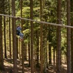 Zwei Kilometer schweben auf der längsten Flyline der Welt: Am Almberg entspannt durch den Wald gleiten