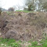 Die Stadt Lohr am Main beklagt die illegale Müllentsorgung in der Kleingartenanlage Rodenbach