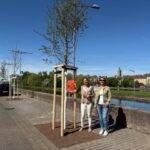 „Und es geht doch!“: Die Schweinfurter Maininsel ist nun tatsächlich attraktiver und grüner