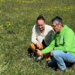 Die App „Flora Incognita“: Bei einem neuen Umweltprojekt sollen die BürgerInnen helfen, seltene Pflanzenarten zu bestimmen