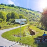 Sicher unterwegs mit dem Rad: Online-Mängelmelder für Radwege im Landkreis Würzburg