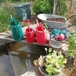 Der Kreisverband Gartenbau und Gartenprofi Christina Fallenbacher geben Tipps und Tricks für die Gartensaison