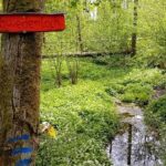 Die Heimat neu erlebt: Geführte Wanderung entlang der Wässernach mit Bernd und Angela Reinhard stieß auf großes Interesse